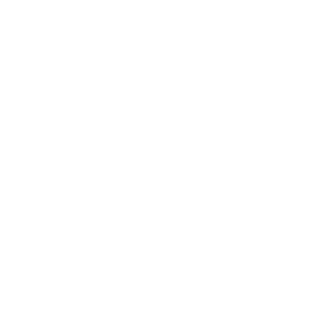 CalvetNet